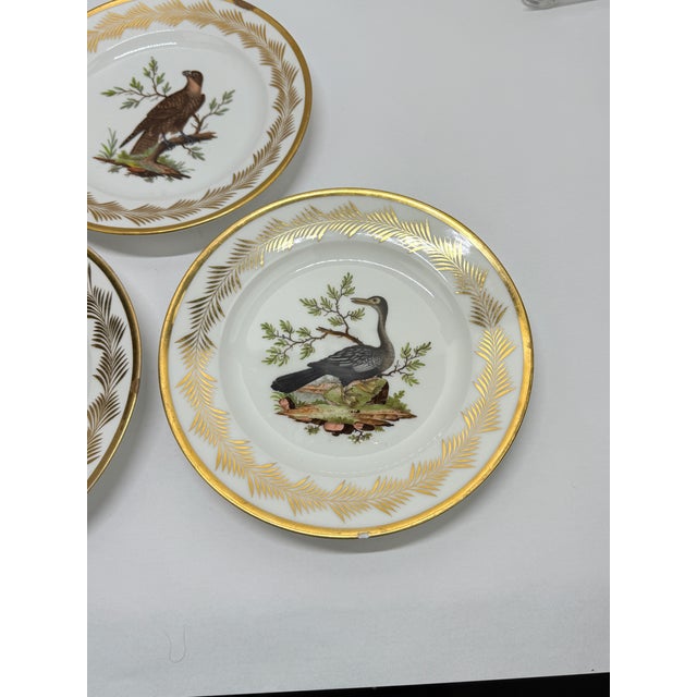 5, French Nast Factory "Ornithological" Porcelain Dessert Plates C. 1815 For Sale - Image 11 of 11