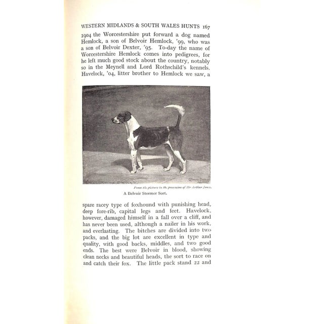 "The Foxhound of the Twentieth Century the Breeding and Work of the Kennels of England" 1914 Bradley, Cuthbert For Sale - Image 11 of 13
