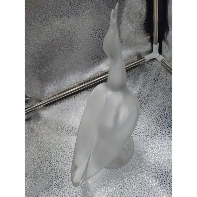 Lalique Lalique France Frost Crystal Daphnis Seagull For Sale - Image 4 of 11