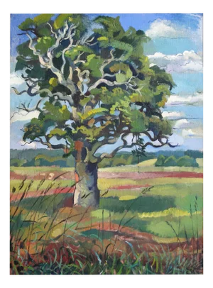 Zita Sudnika, Oak, Oil on Canvas