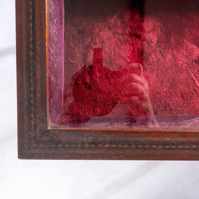 Early 20th Century Early 20th Century Wonderful Inlaid Mahogany Vitrine For Sale - Image 5 of 18