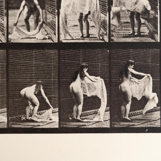 1980s Eadweard Muybridge, Black and White Women in Motion Study, 1982, Photograph, Framed For Sale - Image 5 of 9