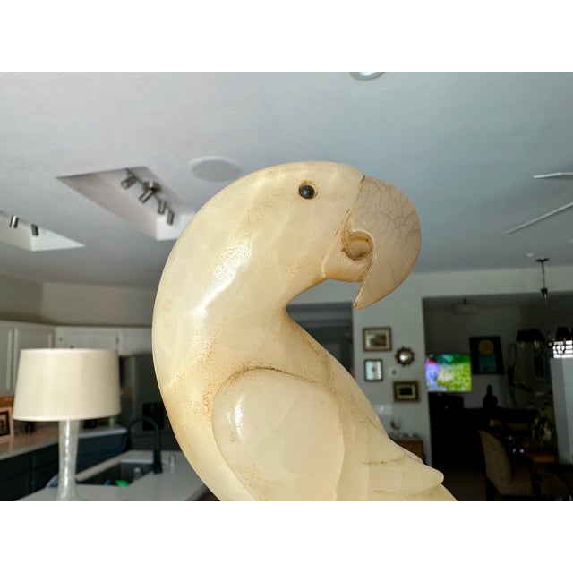 Pair Italian Alabaster Parrot Bird Sculptures - Mid Century For Sale - Image 10 of 18