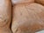 Osaka Brown Leather Armchairs by Moroso, 1980, Set of 2 For Sale - Image 12 of 18