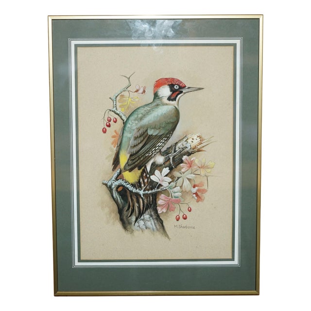 M Shermorne, Kingfisher, Ornithology Watercolour For Sale