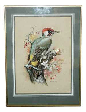 M Shermorne, Kingfisher, Ornithology Watercolour