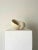 Roger Denton, Large Hand Carved Shell Sculpture, 2000s, Limestone For Sale - Image 9 of 9