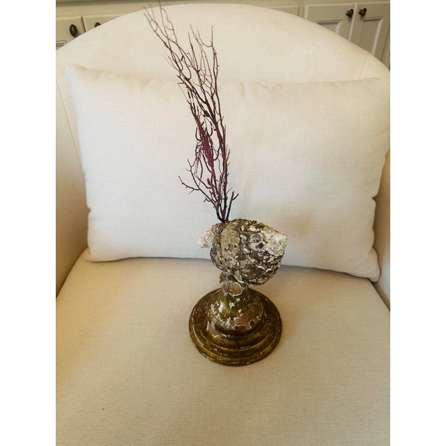 Sea Fan Shell Art on Italian Gold Gilt Base For Sale - Image 9 of 10