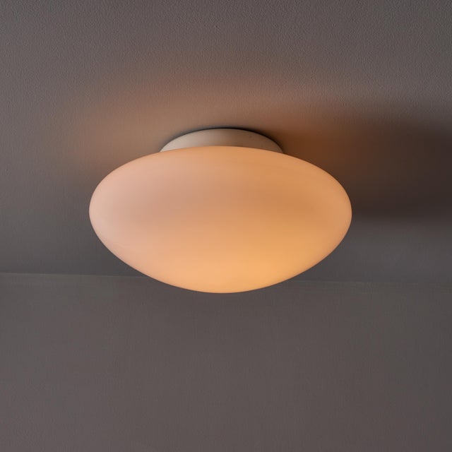 Mid-Century Modern 1971 Sergio Mazza 'Magnolia' Ceiling Lamp for Quattrifolio For Sale - Image 3 of 17