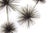 Abstract Vintage Curtis Jere Chrome Plated Sputnik Pom Pom Wall Sculpture, 1970's For Sale - Image 3 of 10