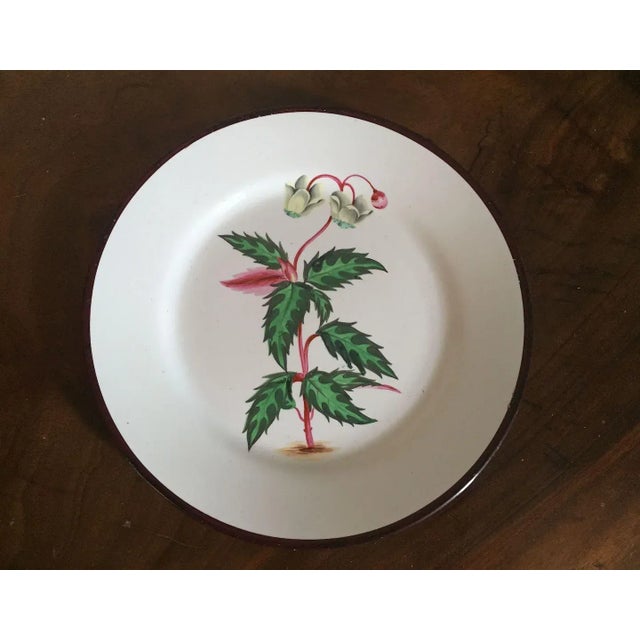 Early 19th Century English Creamware Botanical Plates with Named Flower Specimens - A Pair For Sale In New York - Image 6 of 10