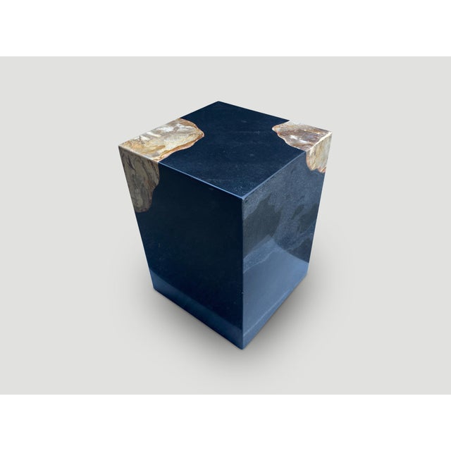 2010s Andrianna Shamaris Volcanic Stone and Petrified Wood Side Table For Sale - Image 5 of 5