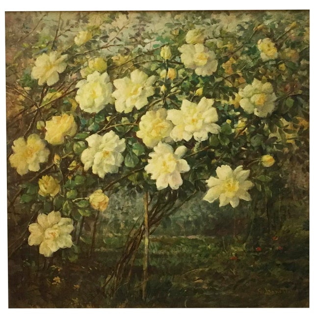 Flowers - Giovanni Bonetti Italia 2010 - Oil on canvas cm. 60x60 Undisputed artist of still life, Giovanni Bonetti reveals...