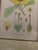 19th Century Mid-Century Framed Mark Catesby "Gordonia Loblolly Bay" Botanical Print, Coffey & Thompson For Sale - Image 5 of 12