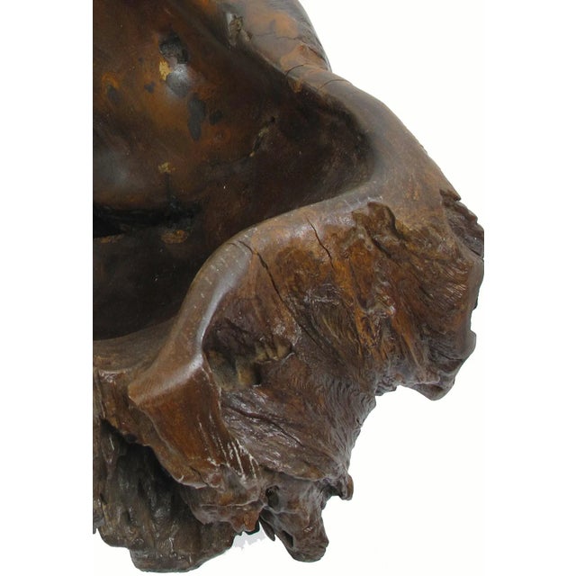 Wood Dark Brown Organic Sculptured Bowl For Sale - Image 7 of 8
