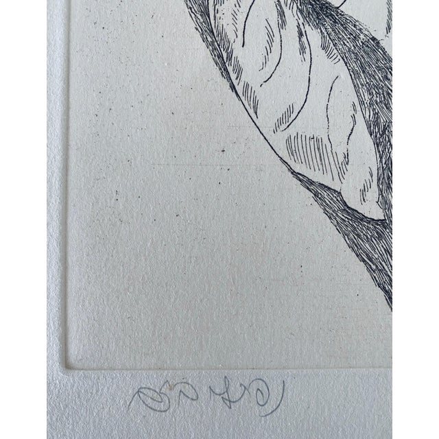 Printmaking Materials Naftali Bezem, Israeli Judaica Etching Print Bezem For Sale - Image 7 of 9