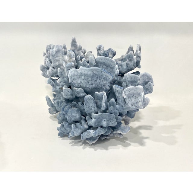 Late 20th Century Natural Blue Coral Specimen Coastal Home For Sale - Image 5 of 7