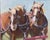 Gee by Lani Vlaanderen | Oil Painting of two brown horses in harnesses. For Sale
