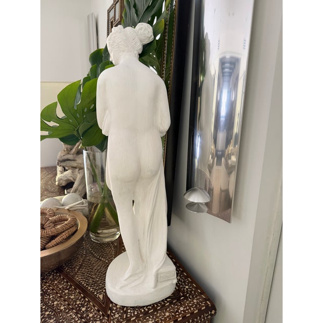 Plaster Classic Venus Statue For Sale In Miami - Image 6 of 9