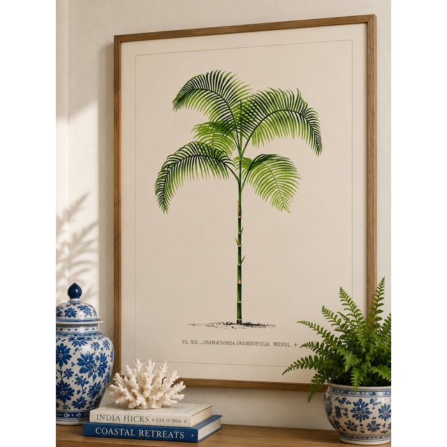 Not Yet Made - Made To Order Vintage Palm Tree Illustration, Botanical Art Print Reproduction, 40" X 60" For Sale - Image 5 of 10