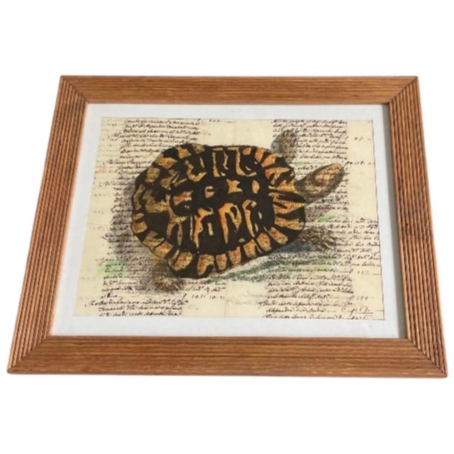 Illustration Vintage Tortoise & Manuscript Botanical-Style Art Print in Reeded Wood Frame For Sale - Image 3 of 12