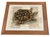 Illustration Vintage Tortoise & Manuscript Botanical-Style Art Print in Reeded Wood Frame For Sale - Image 3 of 12