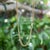 Metal Late 19th Century Victorian 14k Gold 31” Double Cable Link Chain With Dog Clip For Sale - Image 7 of 8