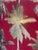 1970s Juicy Couture La78 Gold Palm Trees Pillows For Sale - Image 5 of 5