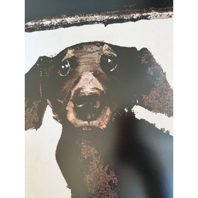 R.Kaja, Dachshund in Films, Night With Film, Poster, 2017 For Sale - Image 6 of 7
