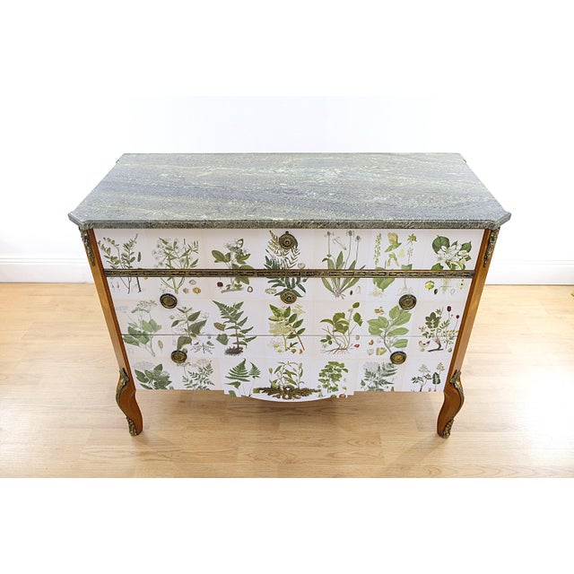1940s Gustavian Chest with Nordens Flora by C.A.M Lindman, Sweden, 1940s For Sale - Image 5 of 11