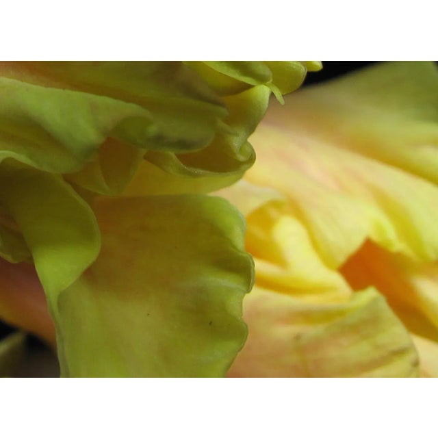 This large 40" x 30" abstract photographic print is by designer/artist/photographer Joseph Fountain, created in 2015. From...