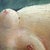 Unknown, Reclining Female Nude, 1890s, Oil on Canvas For Sale - Image 5 of 13
