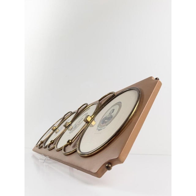 Metal Mid-Century Modern Italian Wall Coat Rack with Brass Oval Frames , 1960s For Sale - Image 7 of 18