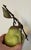 Late 20th Century Penkridge Ceramics Tromp l'Oeil Porcelain Fruit Green Pear Sculpture With Tole Leaves England For Sale - Image 5 of 12