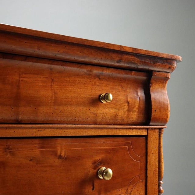 19th Century Louis Philippe Walnut Chest of Drawers, Italy For Sale - Image 3 of 12