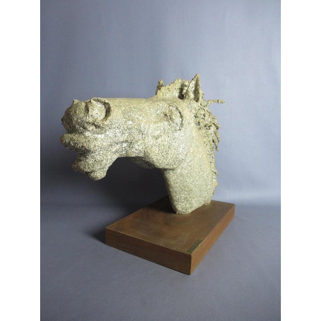 Emilia Parea, Horse Head Sculpture, 1960s, Granite and Papier-Mâché on Wood Base For Sale - Image 10 of 18