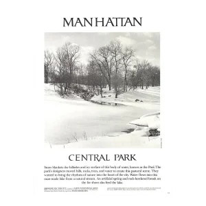 1978 Joel Greenberg 'Central Park' Contemporary Offset Lithograph
