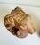 Figurative Carved Wood Rams Head Bookends by Sarreid Spain 1970s - A Pair For Sale - Image 3 of 13