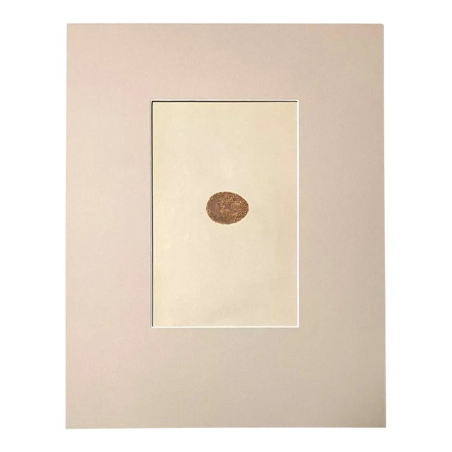 Antique Egg Print, Rev. F O Morris's Natural History, 1867, "Merlin", EUC For Sale