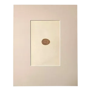 Antique Egg Print, Rev. F O Morris's Natural History, 1867, "Merlin", EUC