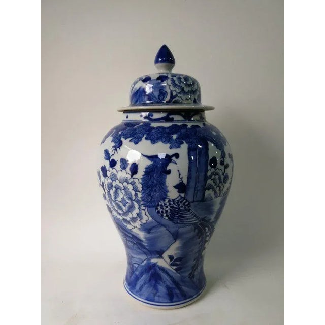 Chinese Blue and White Porcelain Ginger Jar With Birds & Flowers For Sale - Image 4 of 11