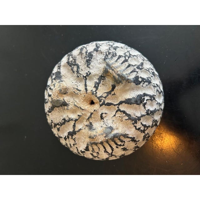 Concrete Planters, 1950s, Set of 4 For Sale - Image 9 of 14