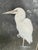 Gorgeous signed lithograph titled "Great White Heron" by Gerard F. Smith. It is set in a black wood frame with silver...