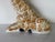 1980s Vintage Hand-Painted Ceramic Giraffe Sculpture For Sale In Miami - Image 6 of 12