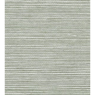 The House of Scalamandr�� Sisal Wallcovering, Celestial For Sale