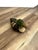 Vintage Wood Duck Decoy Lint Brush For Sale - Image 4 of 9