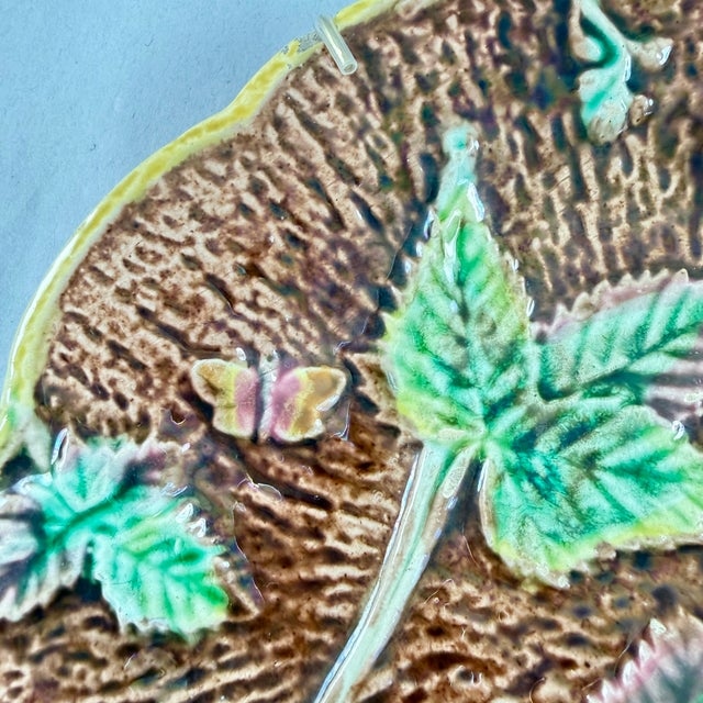 English Majolica Rustic Leaves on Bark Plates, Set of Two For Sale - Image 10 of 16