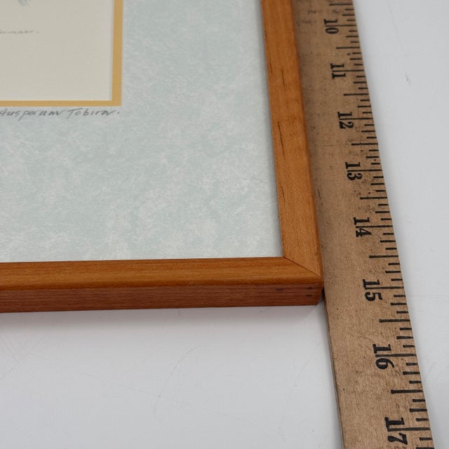 Margot Weemaes 1981 Pittosporum Tobira Botanical Portfolio Print For Sale - Image 10 of 12