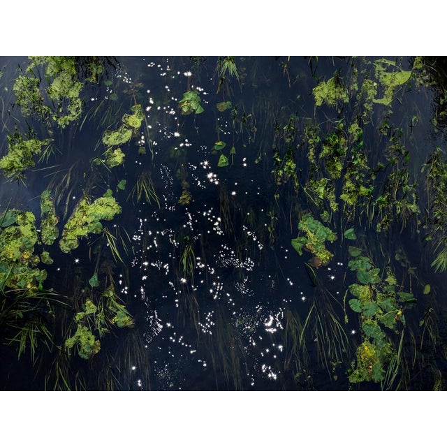 Chalk Streams 3 is a stunning C-Type Digital C-Type print on Fuji Maxima Matte paper. This 90cm x 120cm print is available...