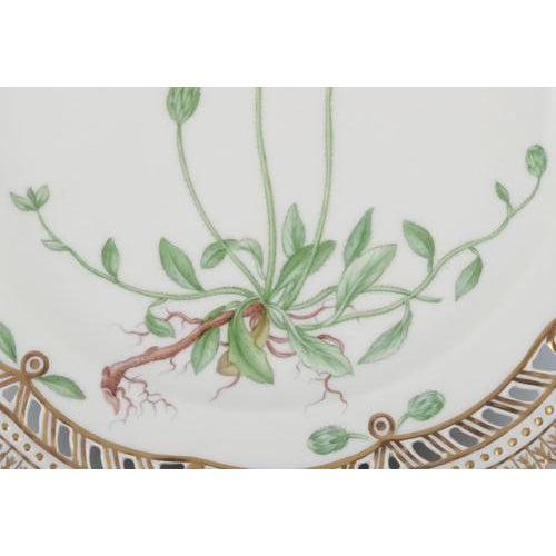 Flora Danica Openwork Lunch Plate in Porcelain from Royal Copenhagen, 1958 For Sale - Image 4 of 8